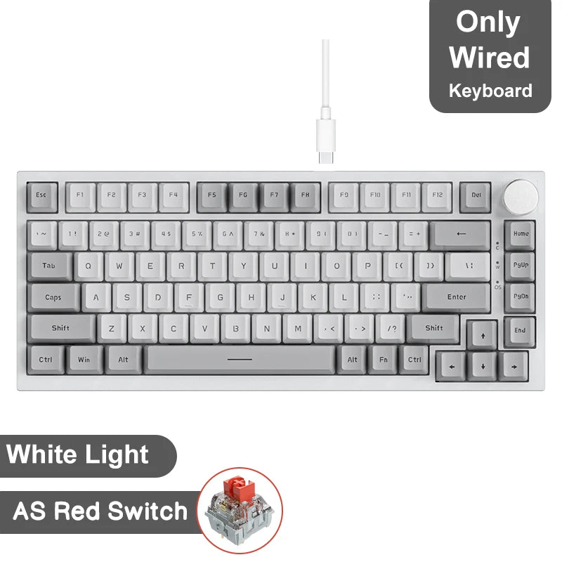 Teclado mecánico inalámbrico AJAZZ AK820/Pro Bluetooth 5.1 2.4G USB-C con cable intercambiable en caliente RGB para juegos con junta con